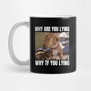 Why Are You Lying Funny Dog Meme Mug